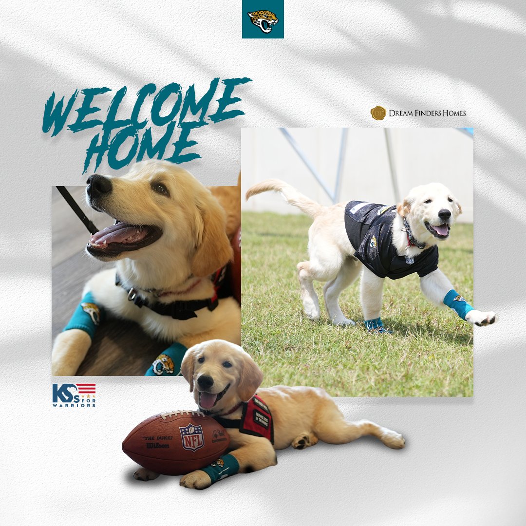 Jaguars's tweet photo. We’re getting a puppy! Help us name our new furry friend in the replies 👇
 
@Dream_Finders | @k9sforwarriors https://t.co/orQdnOvqqH