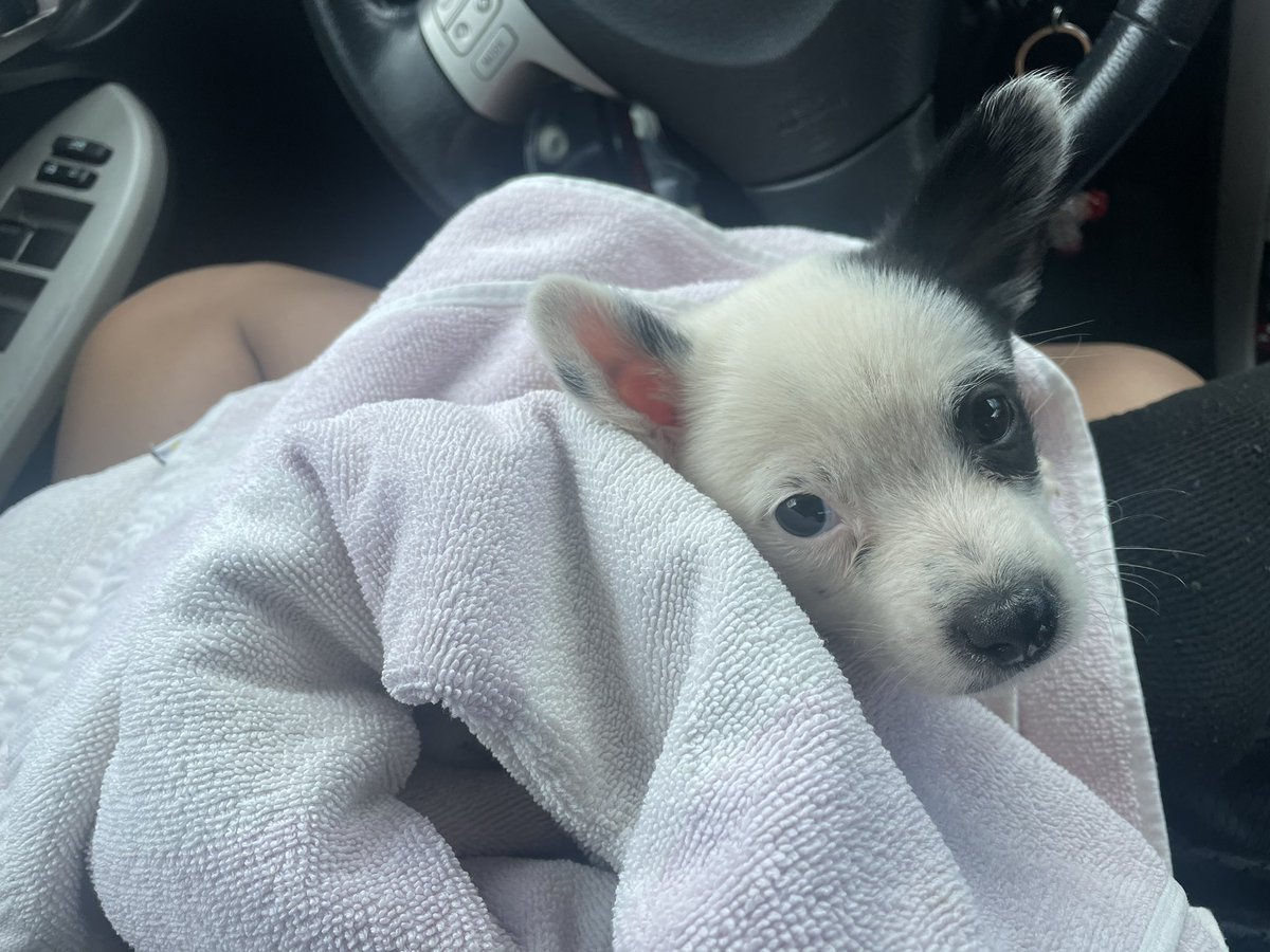 Finally picked him up today!! ❤️❤️🚀