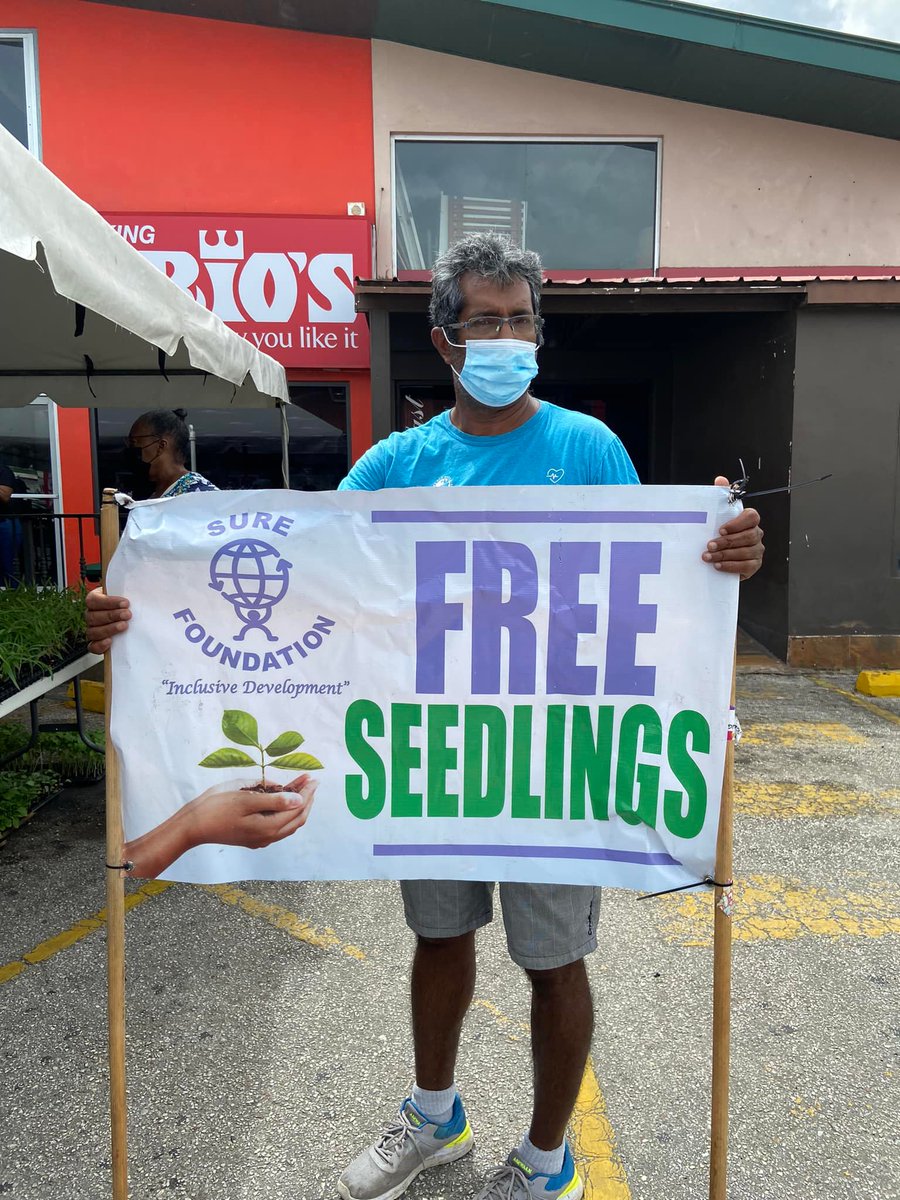 mymarios's tweet photo. We hosted our first seedling drive in partnership with The SURE Foundation, over the next three months seedlings will be distributed to citizens FREE of charge.
Keep posted for our next seedling drive! #Mariospizza #Freeseedlings https://t.co/FC4IXNJkgp