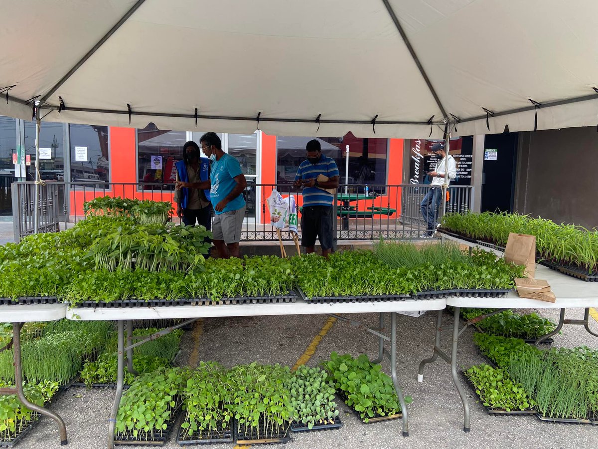 mymarios's tweet photo. We hosted our first seedling drive in partnership with The SURE Foundation, over the next three months seedlings will be distributed to citizens FREE of charge.
Keep posted for our next seedling drive! #Mariospizza #Freeseedlings https://t.co/FC4IXNJkgp
