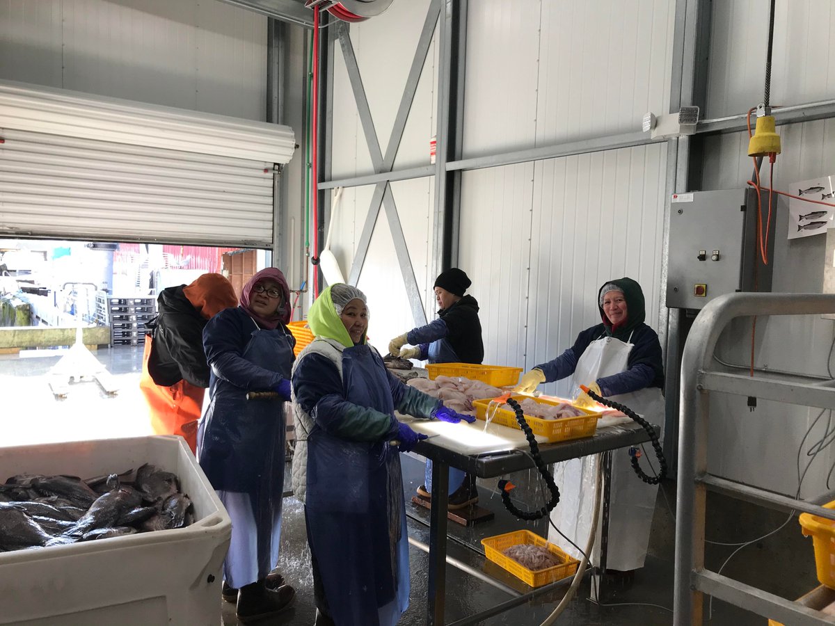 The hard-working crew at our partner processor, Kodiak Wild Source! Look for their name on your next @SalmonShares pacific cod or rockfish delivery! 🐟 

#sustainableseafood #alaskaseafood #slowfood #sitkasalmonshares #staywild