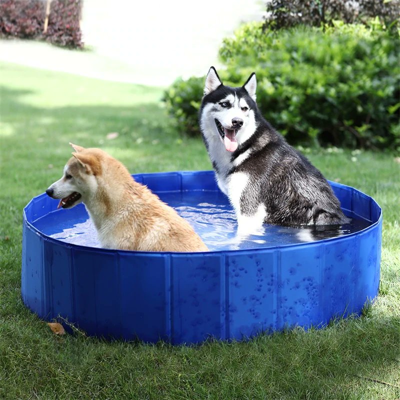 BozoMore's tweet image. This is nice for for your Pets to Cool off on those Hot Summer Days!  Please look in our store for further details!
#petcare
#animalmedicine
#animalcare
#vet
#animaldoctor 
#dogcare
#catcare
#pets
#veterinarian
#dogtraıner 
#animalwhisperer
#dogobedience

bozospetsandmore.com/products/big-f…