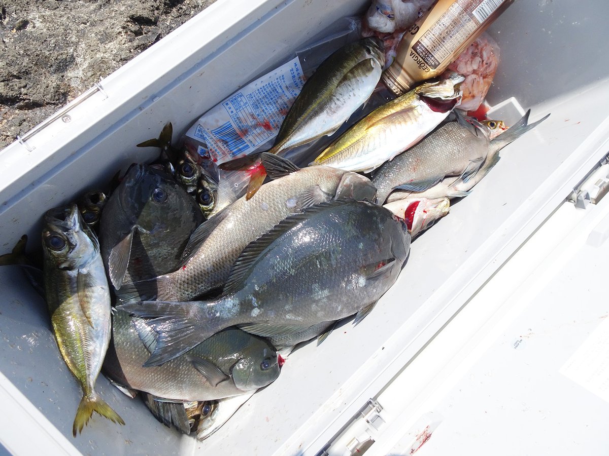 釣友さんとの長崎県平戸市の早福瀬釣行。
めちゃ暑かった～。

釣好大全九州（釣りブログ）
　　👇
kyusyu-ins.com/2022/05/24/202…
今回のお題は『灼熱地獄へようこそ。』です。