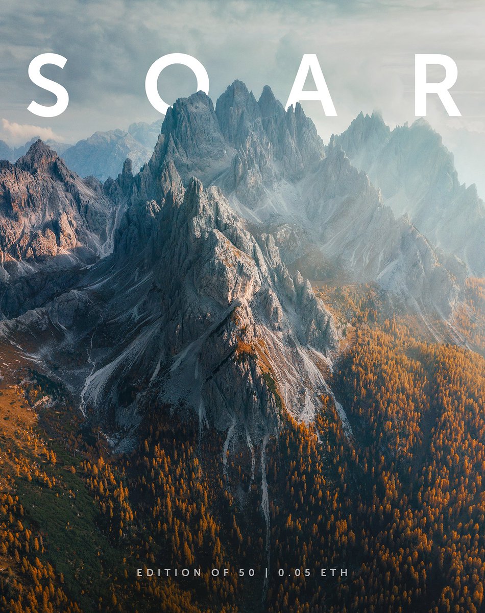 Wow. Big thanks to <a href="/cinnadine/">Nadine Bauer</a> <a href="/MerrWatson/">Merr Watson</a> and <a href="/Merekdavis/">Merek Davis</a> for being the first collectors of “Soar Editions”. So proud and stoked to have you as collectors. 💙

opensea.io/collection/soa…