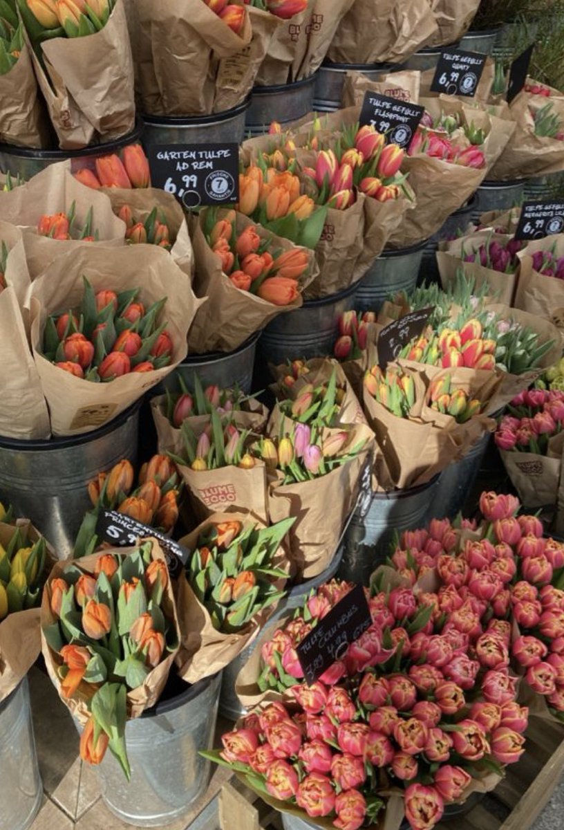 flowers and the calm 🤍