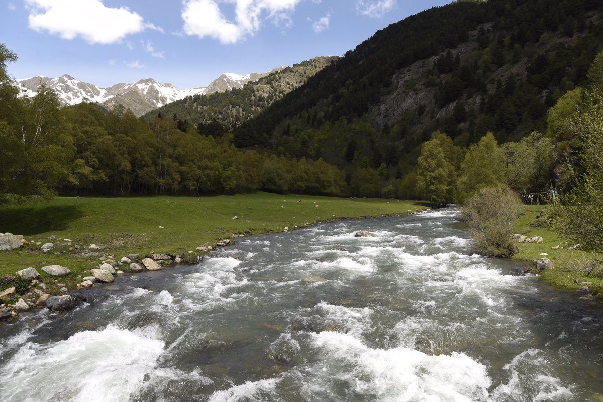 Plataforma Salvem Salau (@SalvemSalau) / Posts / X