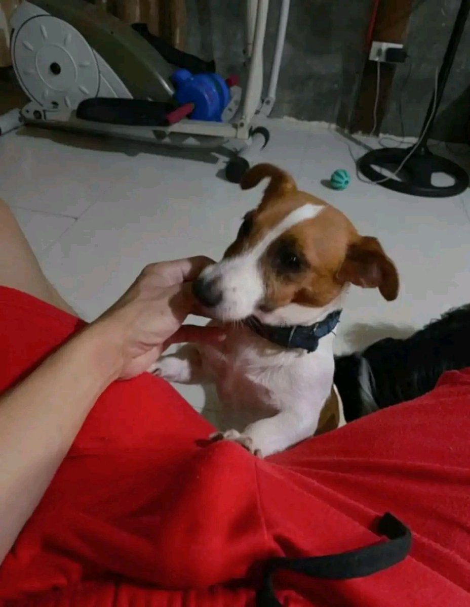 🔰 DaíKí 🔰 tweet media