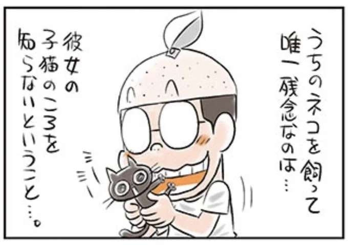 子猫のころのことを知らない。でもね…。 保護ネコと漫画家のなにげない日常を描いた傑作4コマ漫画「うちのネコは飼い主に優しい。」はコロコロオンラインにて公開中です!