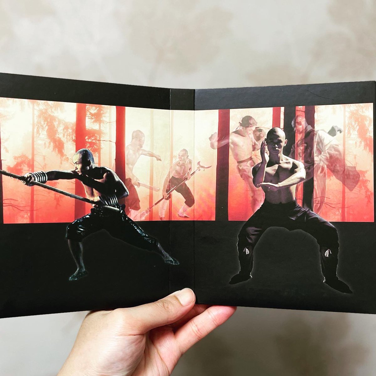 Next: The 36th Chamber of Shaolin Trilogy (少林三十六房)