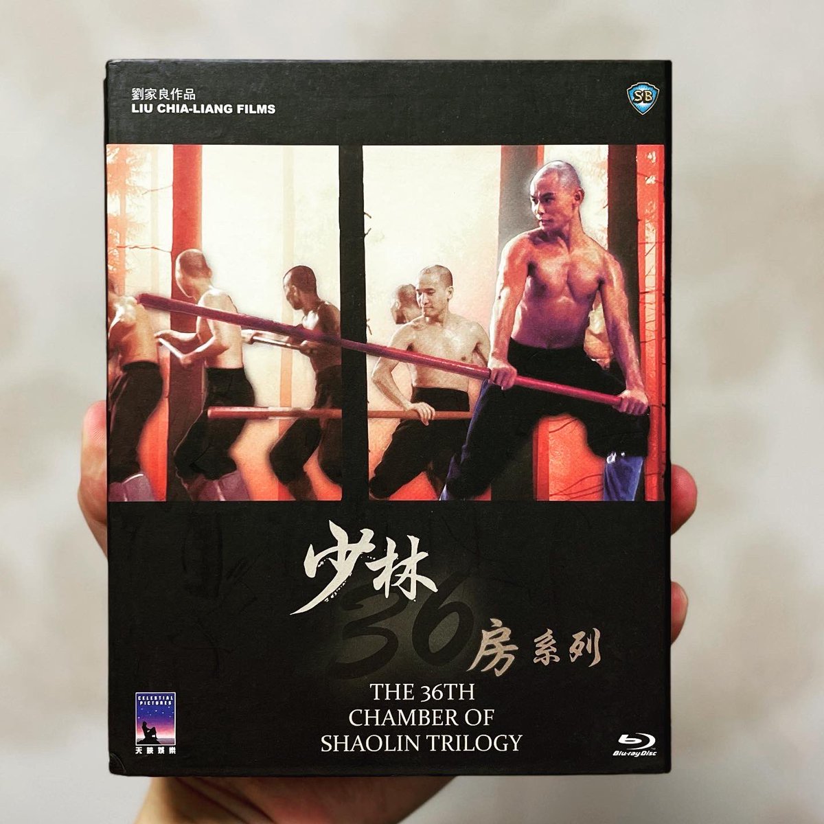 Next: The 36th Chamber of Shaolin Trilogy (少林三十六房)