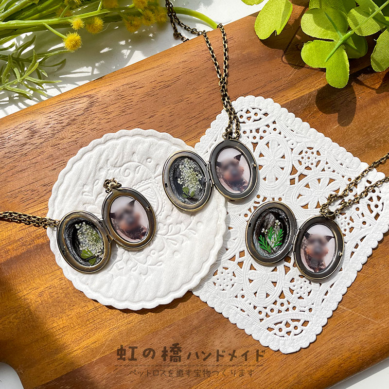 犬の遺毛 Twitter Search Twitter