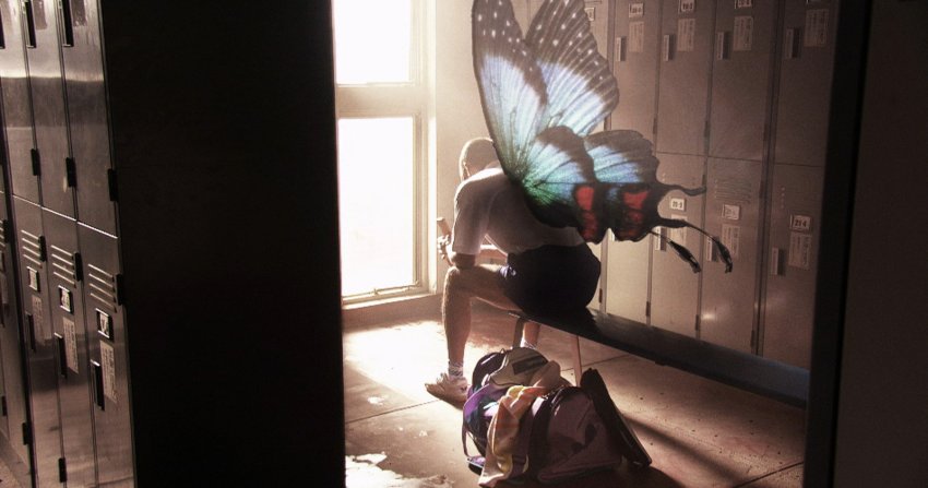 butterfly joe
https://t.co/gXXaOfFBRy 
