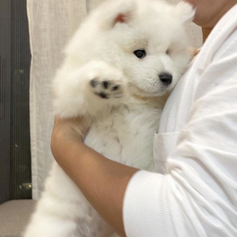 โตแล้ว อย่ามาอุ้มนะ อายสาว