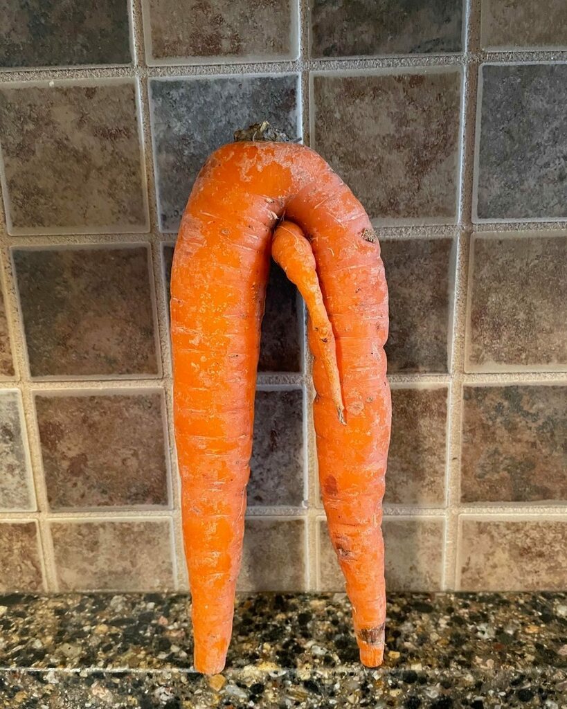 FoodPorn's tweet photo. This carrot needs to chill. https://t.co/aKsx4alWjy https://t.co/j8whJ9Al2L