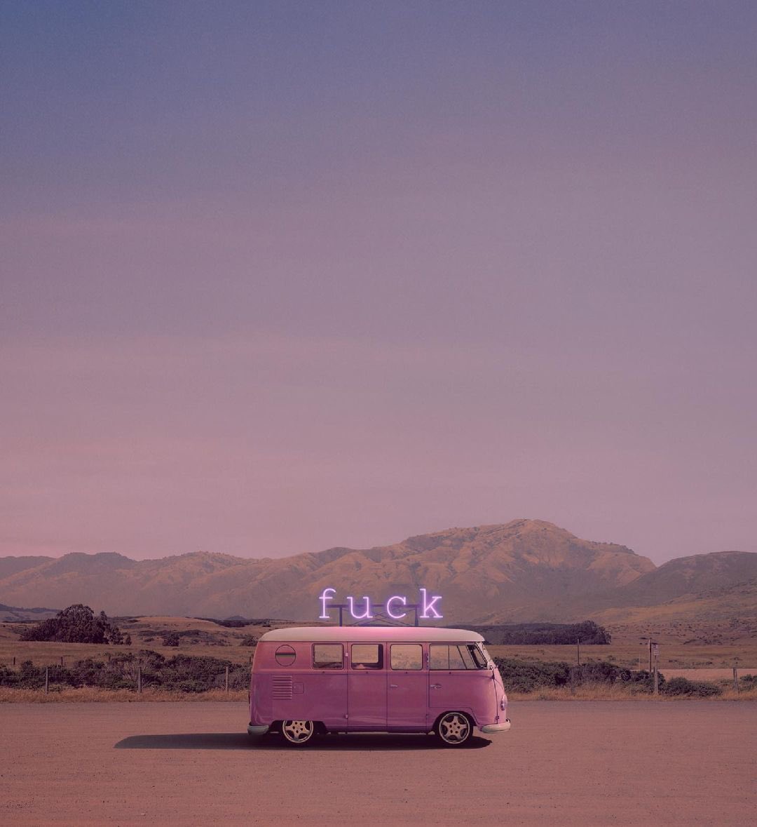 BebuCesco's tweet photo. Day-tripper🦩~ © Jeffrey Czum https://t.co/7WA9BmNsDO
