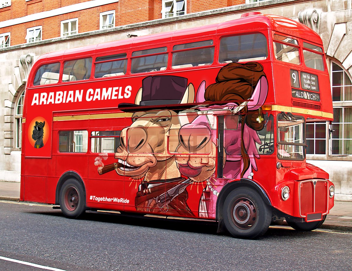 Arabian Camels tweet media