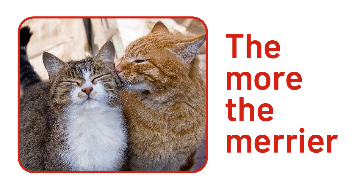 Great news for pet lovers – you get a discount of £1 per pet, per month when you insure multiple pets*. Includes dogs, cats and rabbits. Provided by Pinnacle Insurance plc  *T&amp;Cs apply. spr.ly/6016zBFOM