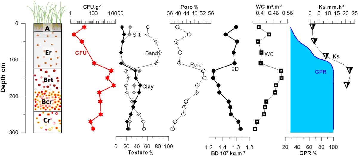 New article on the factors influencing the occurence of B. pseudomallei in the environment (Lao PDR). Hint - the bacteria is found down to at least 3m depth - to learn more rdcu.be/cN9FD @GET_Toulouse @iEESParis @ird_fr @mtropics_czo @LSHTM #LOMWRU #DALAM @nuolofficial