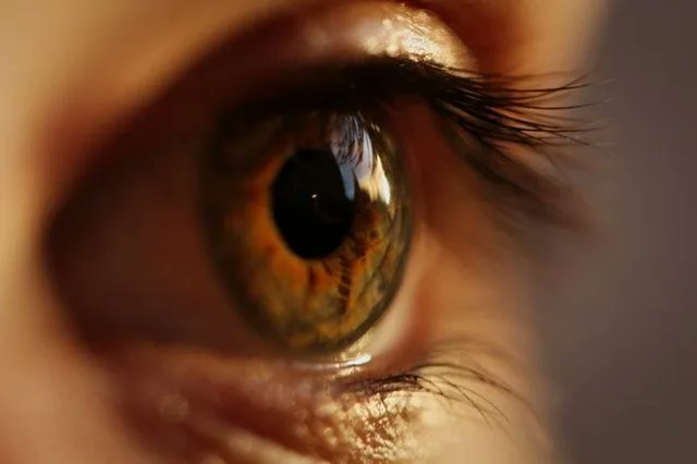 NovovisionEsp's tweet photo. Queratocono – Clínica Oftalmológica Novovisión #salud #feedly https://t.co/dmS7HfsBQK https://t.co/RuriCNALZM