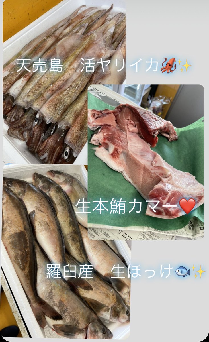 On5uHB9pGAWeqCj's tweet photo. おはようございます😃本日は🉐火曜市🎊厚岸生牡蠣100個限定100円SALE🎊お刺身も🉐活真つぶ大盛🐚生ヤリイカ🦑活ナマコ、網走活しじみ、自家製干物はなんと5種出来上がりました👍生ミンク鯨🐳残りわずかです🤩どうぞよろしくお願い致します😊🌈　#登別　#魚屋　#まるひろ伊藤水産　#刺身　#干物　#鮮魚 https://t.co/JGOCOrWL0K