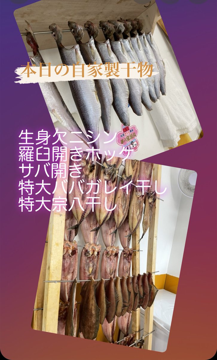 On5uHB9pGAWeqCj's tweet photo. おはようございます😃本日は🉐火曜市🎊厚岸生牡蠣100個限定100円SALE🎊お刺身も🉐活真つぶ大盛🐚生ヤリイカ🦑活ナマコ、網走活しじみ、自家製干物はなんと5種出来上がりました👍生ミンク鯨🐳残りわずかです🤩どうぞよろしくお願い致します😊🌈　#登別　#魚屋　#まるひろ伊藤水産　#刺身　#干物　#鮮魚 https://t.co/JGOCOrWL0K