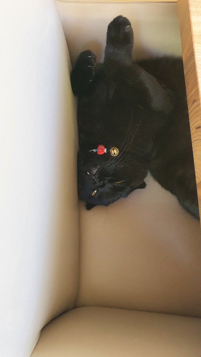 Rebecca Jessup tweet media