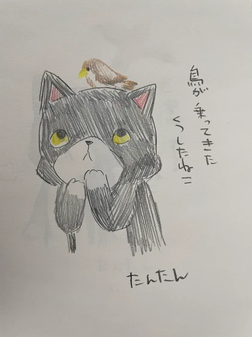 鳥が乗ってきたくつしたねこ1/3#イラスト #猫 