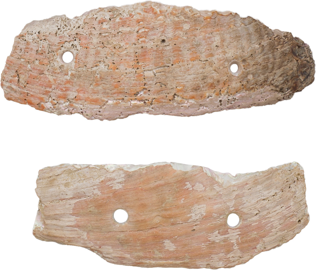 神奈川県立歴史博物館 on Twitter 