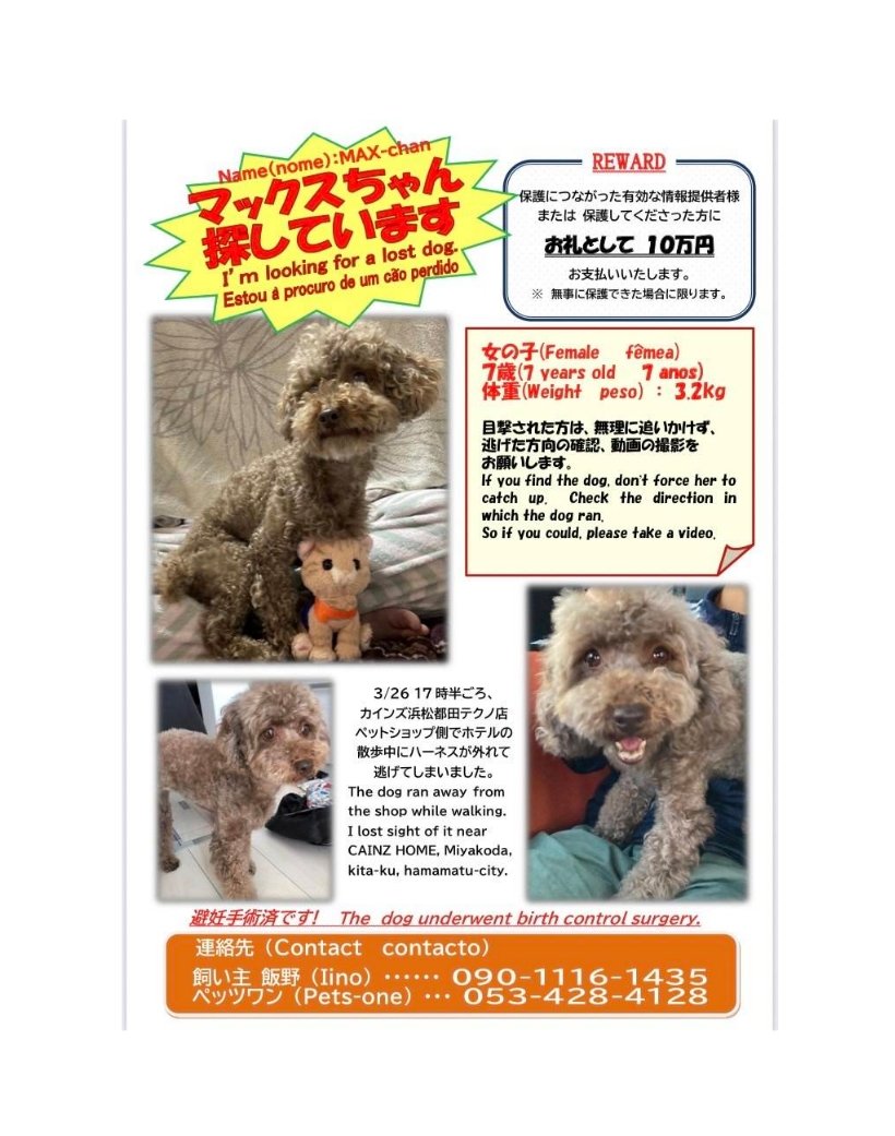 ペットサロン Twitter Search Twitter