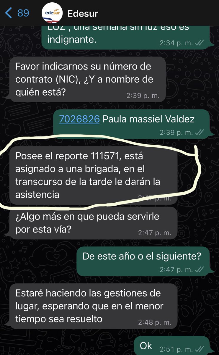 paula valdez tweet media