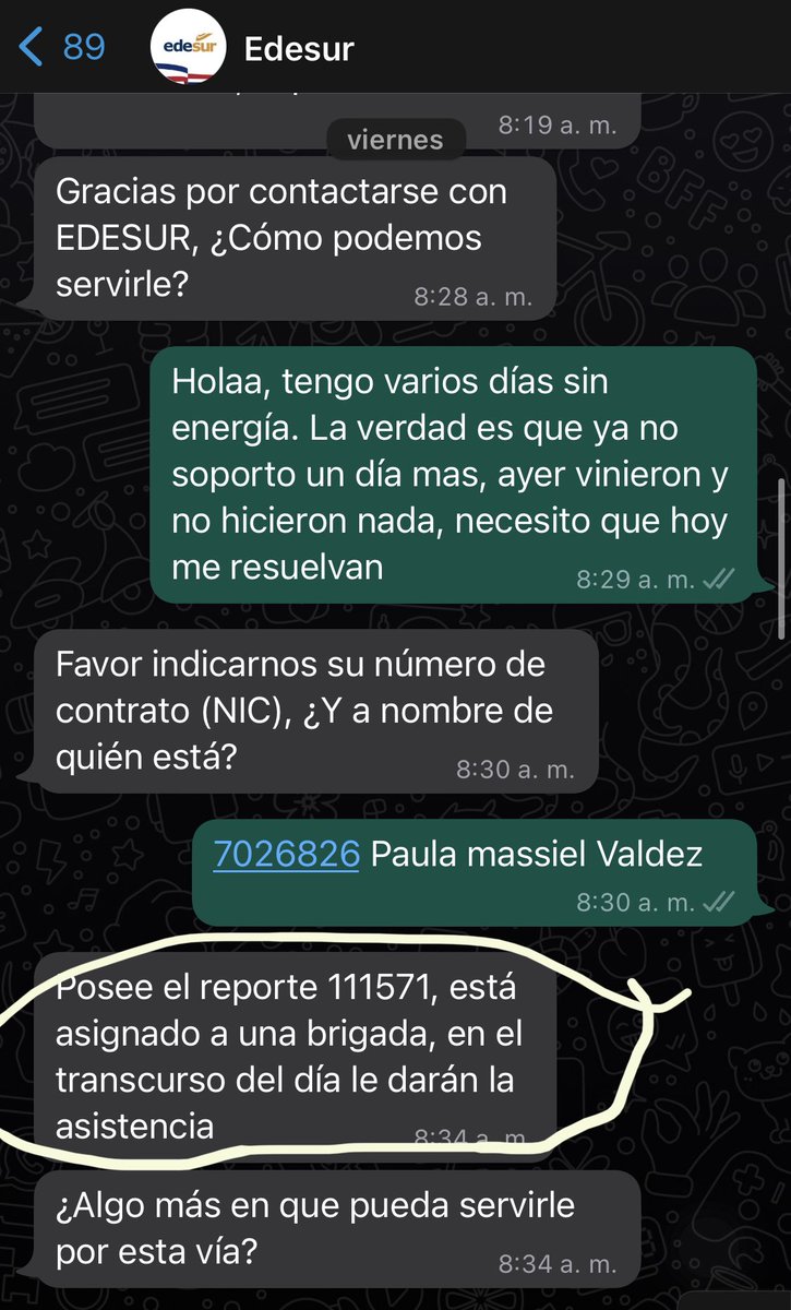 paula valdez tweet media