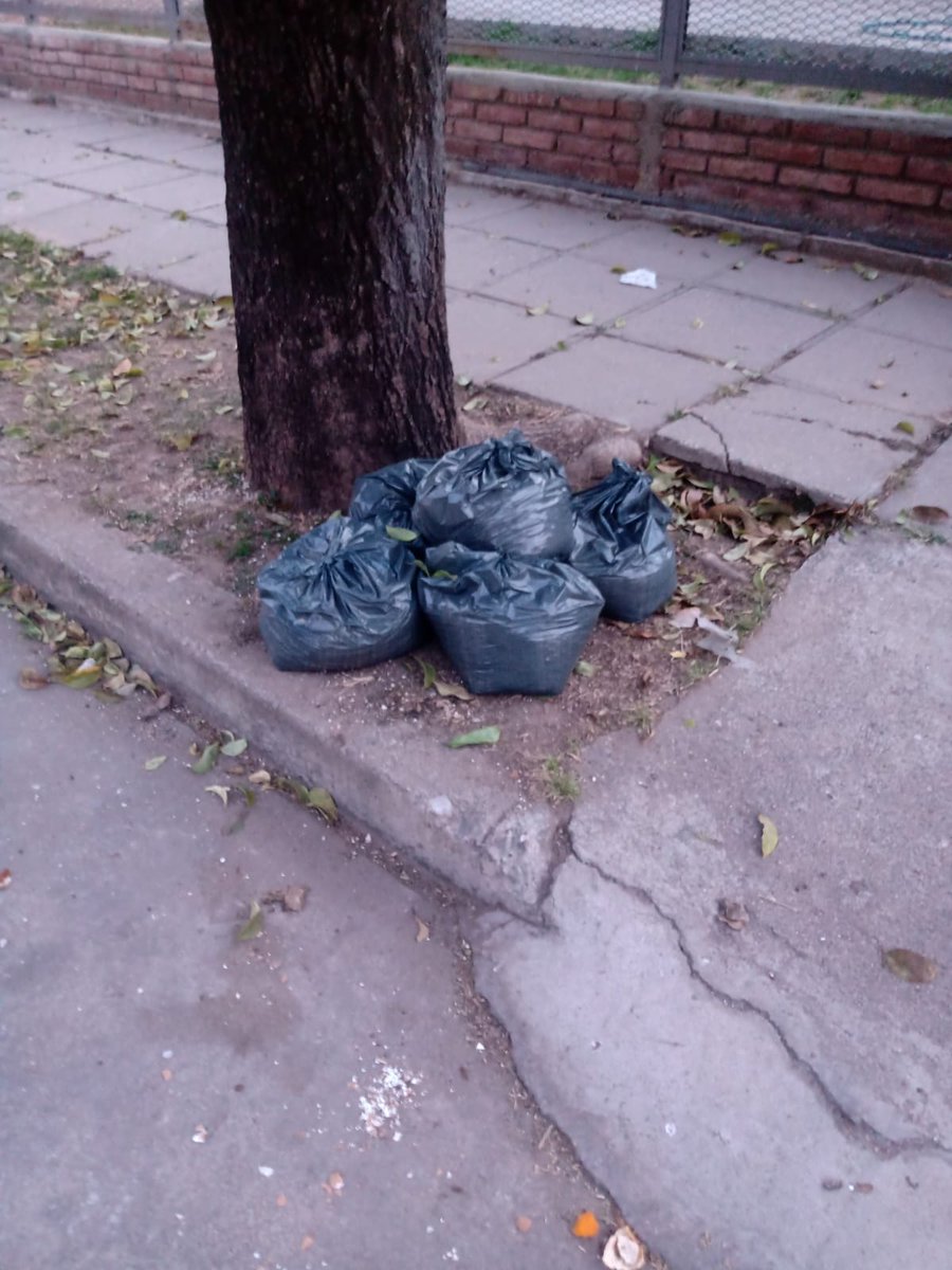 MARIAMZL0222's tweet photo. Hoy no levantaron la basura por sobre la calixto Gauna al 1200 en varios domicilios.
¡Más de 10 días sin RECOLECCIÓN! sobre la Pascual de Rogatis 3750.
Bolsas expuestas a la intemperie por ese lapso viernes riesgo de romperse y esparcir su contenido.@MuniCba @LUSA_GE @CpcRuta20 https://t.co/6WdiCuzEg5