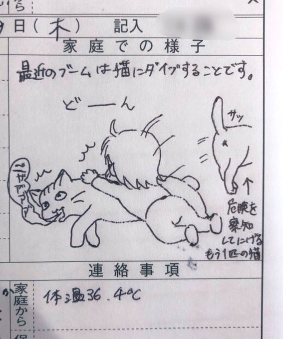 最近の保育園連絡帳
 #みーちゃん育児日記 
