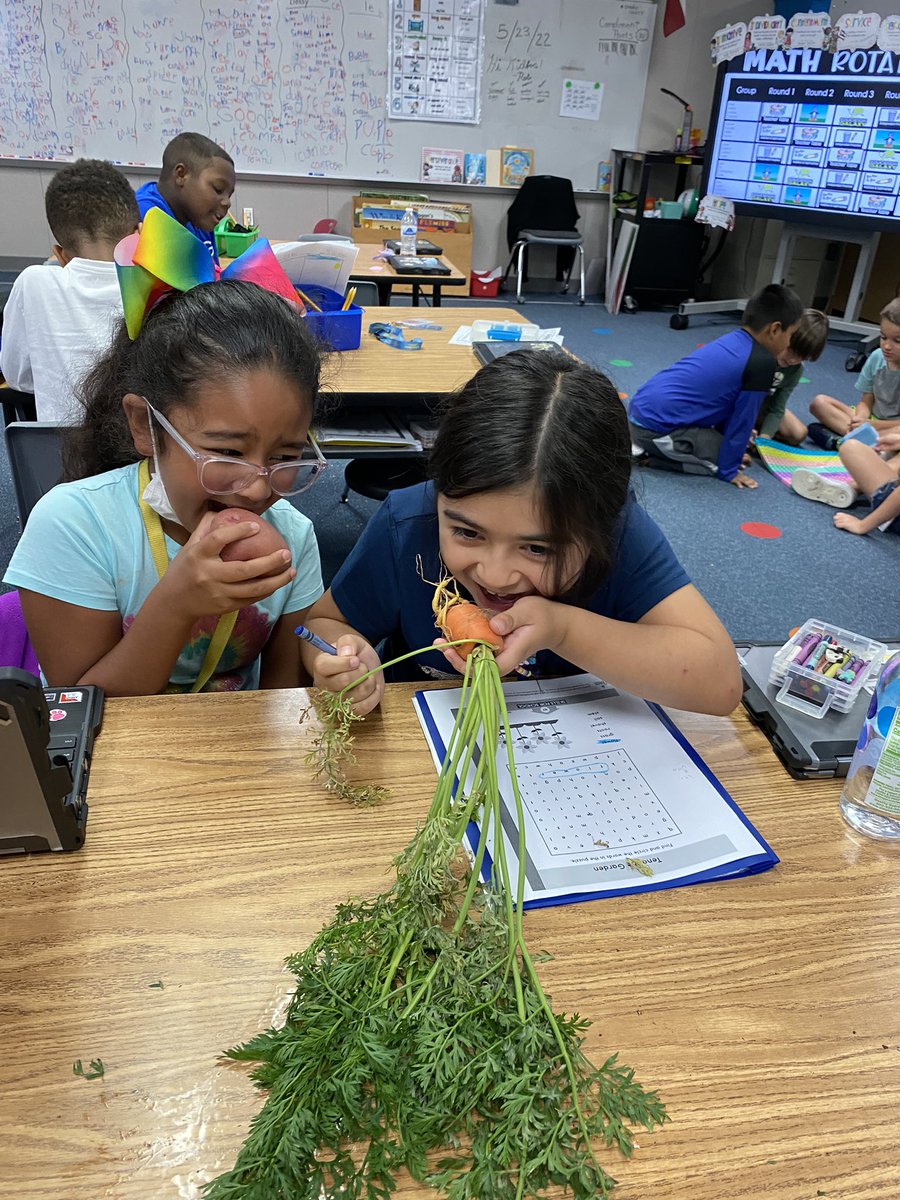 Sandra Garza tweet media