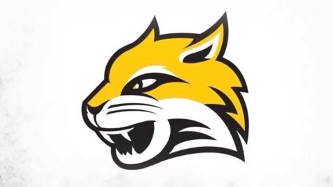 teshaunporter's tweet photo. Blessed and Excited to receive my first offer to Wayne State College @LMasters8 #WildRi23 🐯🔥 https://t.co/J25OcEk3Gl