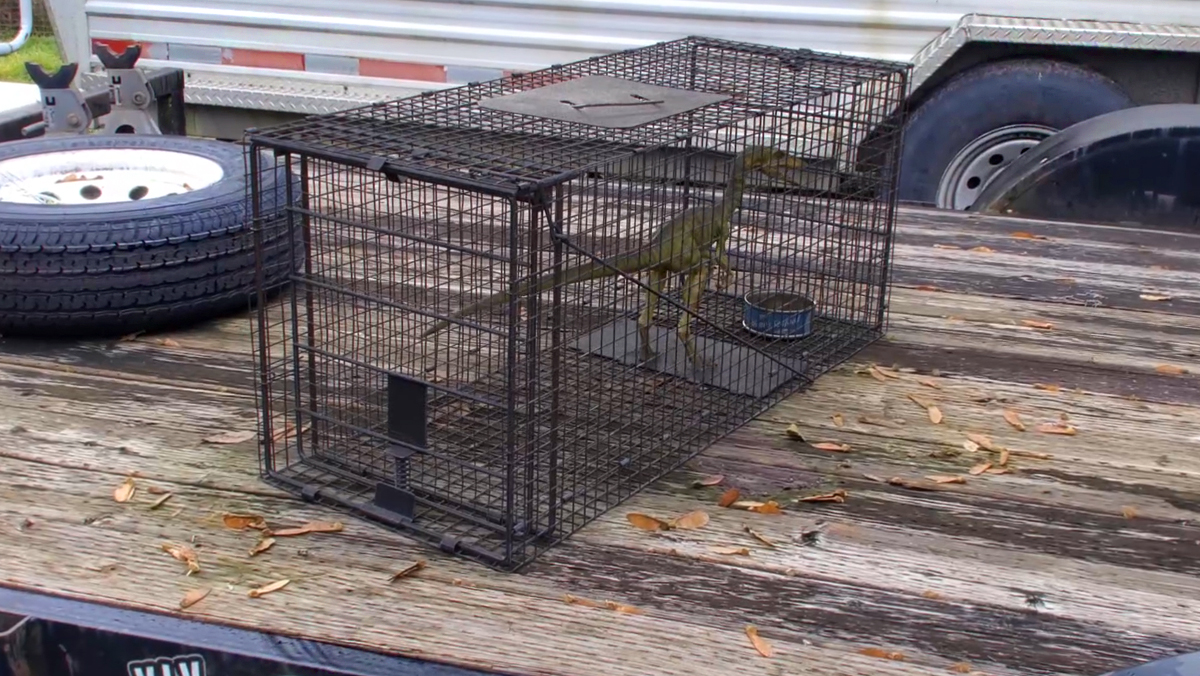 Dinotracker tweet media