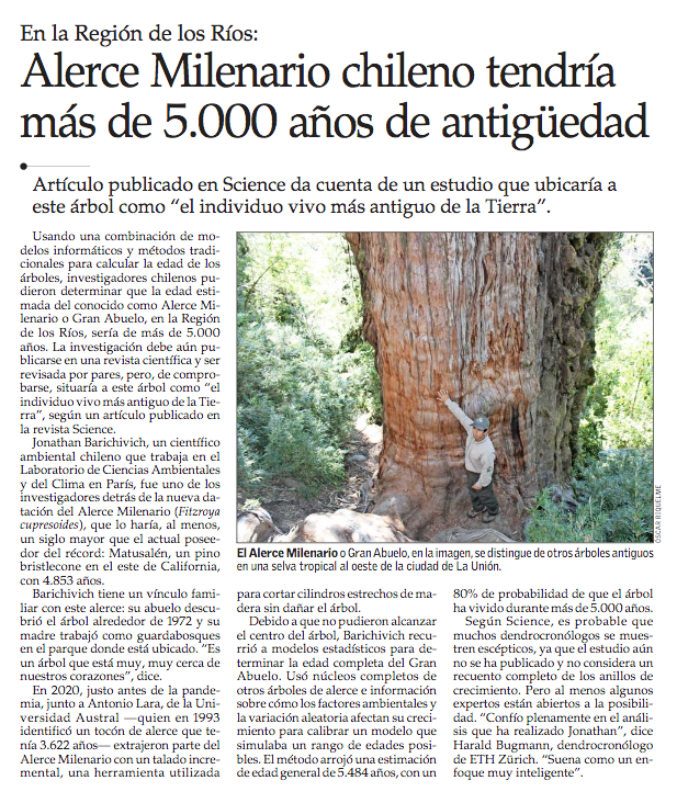 El científico chileno Jonathan Barichivich señala que en el Parque Nacional Alerce Costero, cerca de la Unión, se encontraría el árbol más longevo del mundo, un enorme alerce de más de 5.000 años. 
Ver artículo original en science.org/content/articl…