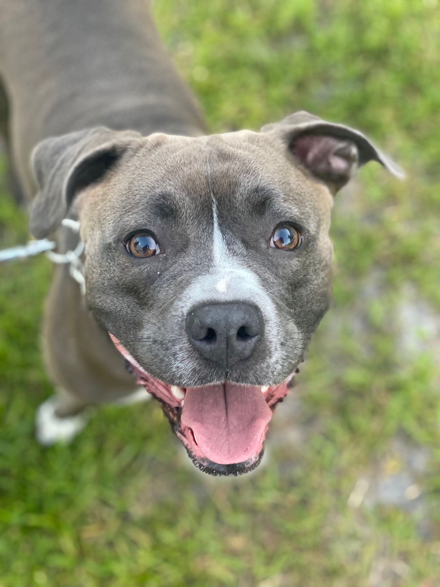 I loveee summer because I can have new adventure with the baby❤️🐶