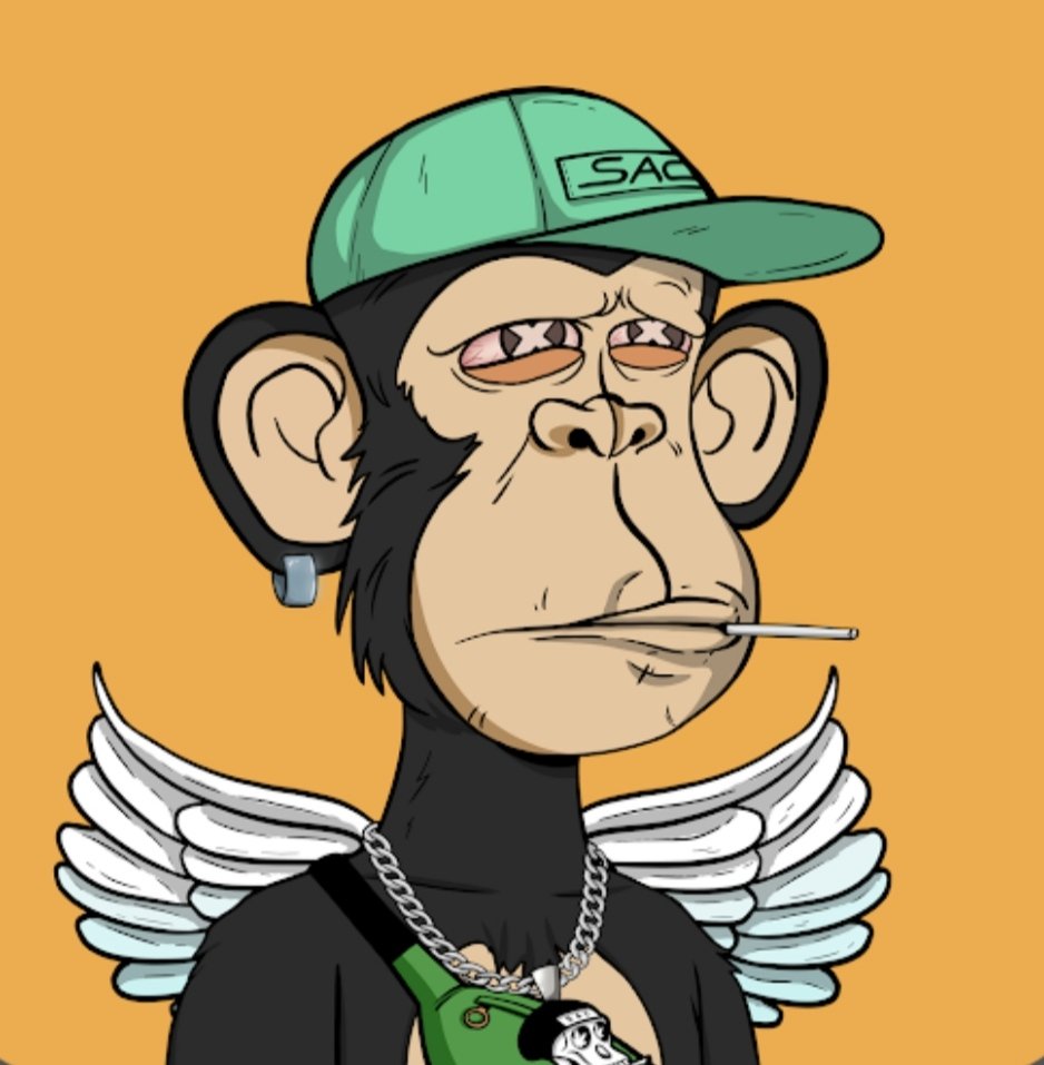 QueHacesTio99's tweet photo. Day 102 of tweeting until @SnoopDogg and @wizkhalifa SWEEP the floor of @TheStonerApes ! Lets go boys, 100 more days if needed (hope not 😅) They must join! 3D stoner coming 👀👀👀🔥🔥

@Alx_SAC @AlecoNFT @BrndonSAC @KreoFN  @LoveTheDonut @Willhire @TrulsSAC https://t.co/UpWzLStM9z