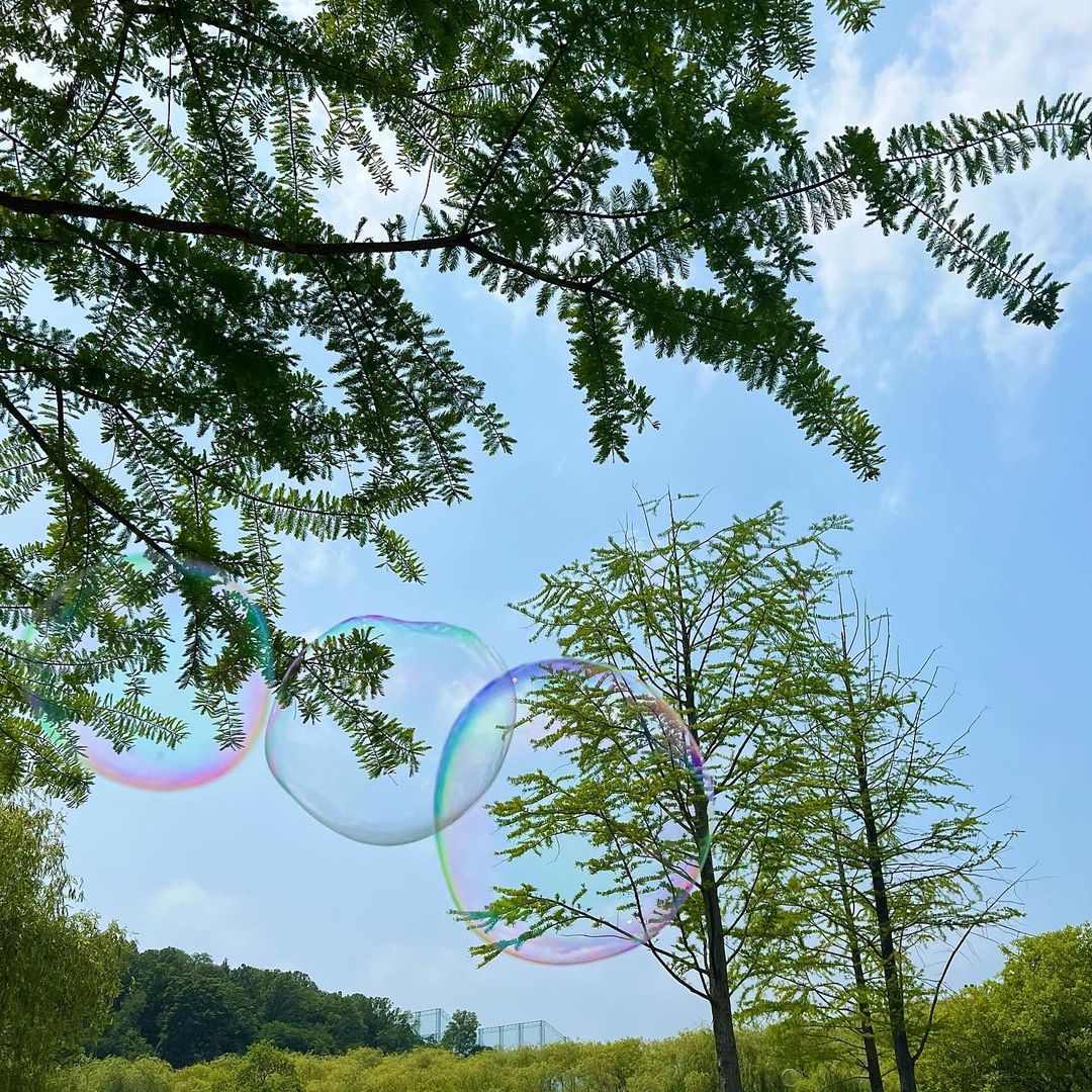 BlackPinkArg8's tweet photo. 〔 #INSTAGRAM ╏ 23.05.22 〕

Actualización de #JISOO 🐢🐰 en su Instagram.

"☁️🌳🫧"

ⓒ @.sooyaaa__
BLΛƆKPIИK ΛRGEИTIИΛ

#블랙핑크 #BLACKPINK #BLINK @BLACKPINK #지수 #JISOO #제니 #JENNIE #로제 #ROSÉ #리사 #LISA https://t.co/mySBUZ47RG