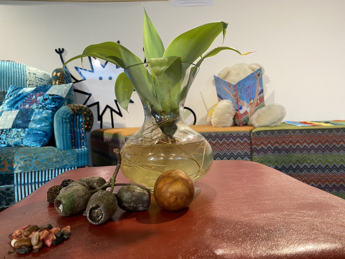 lkervin's tweet image. Setting up for National Simultaneous Storytime tomorrow @UOWEarlyStart @digitalchildau - a great book, seeds, leaves, foley effects, yoga mats … LOTS of children registered! Can’t wait! #NSS2022 #1MillionKidsReading #UOW #earlychildhood