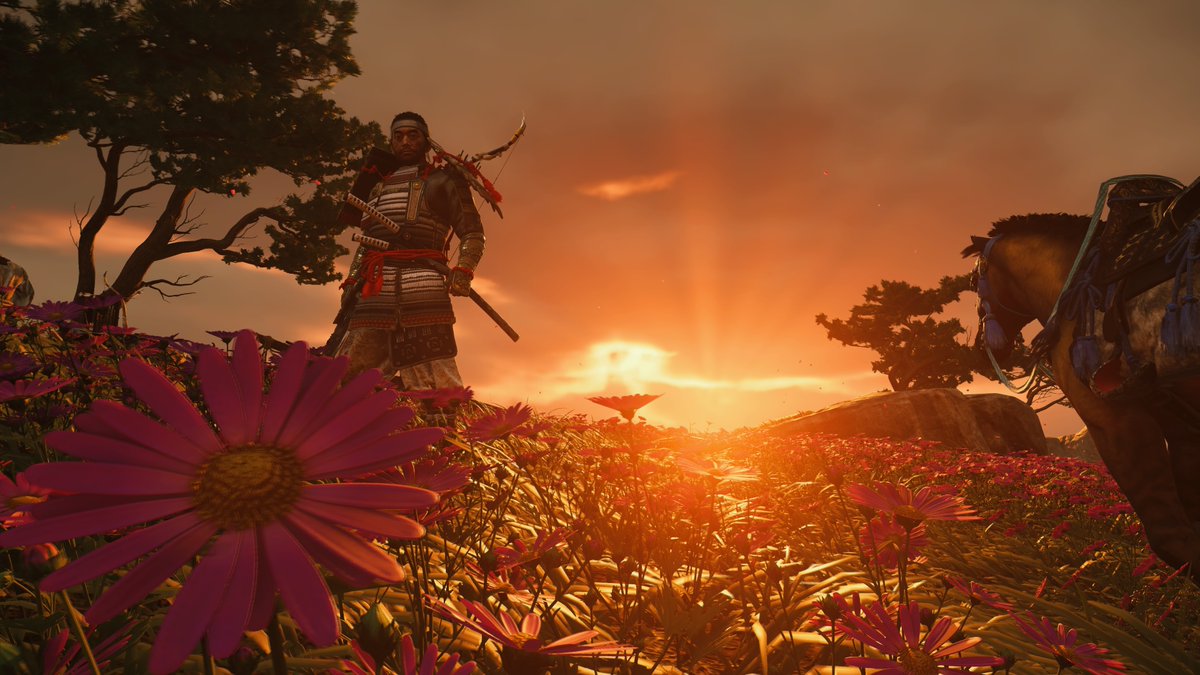Doctor_Zerato's tweet photo. #GhostOfTsushima #PS5Share https://t.co/irpvpqy0pI