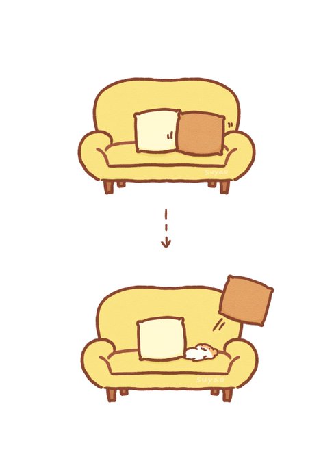 🛋👀? 