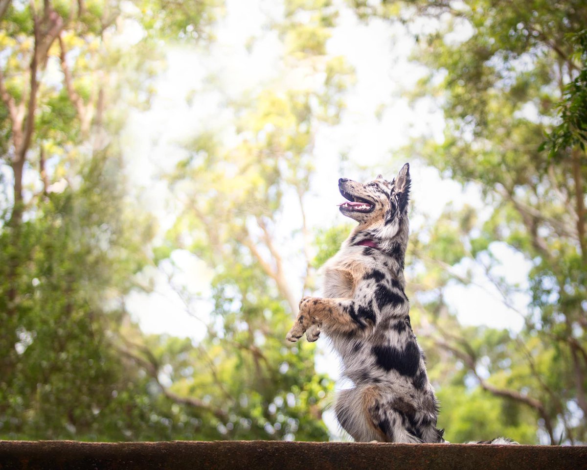 Courtraits tweet media