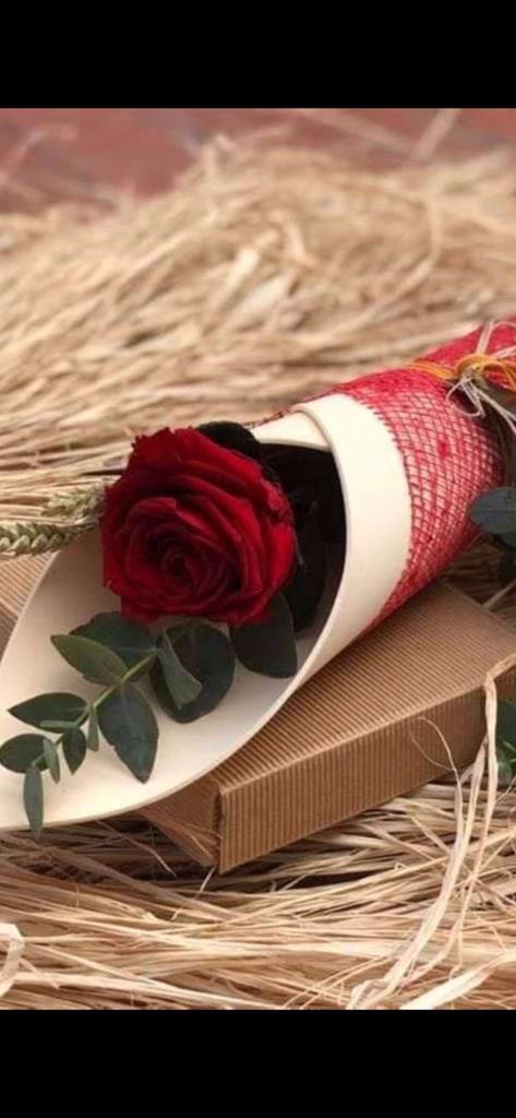 ⇣❥ ❥ ⇣

✹يّآ ربّ حًــيّآة سًـعَـيّدُةً ، رفُقَـة صِـآلَحًــة ،نٌهِـآيّة عَــمِر جَــمِيّلَ ، رزَقَ مِبّــآرڱ ، أمِنٌيّـآتُ مِحًــقَقَة ، جَــنٌة لَنٌآ وِلَمِـنٌ نٌحًــبّ♥✹

◕⁧#صِـبّـًــآحً_آلَخٌـًـــيّر