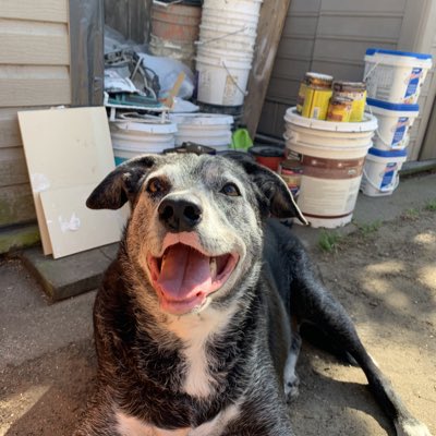 #NewProfilePic