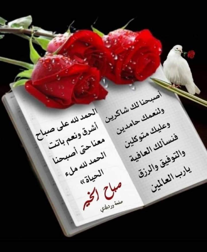 ibramher tweet picture