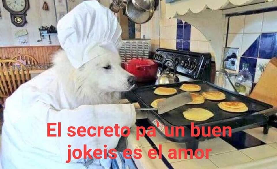 Perritos que curan tu depresión 🐶 tweet media