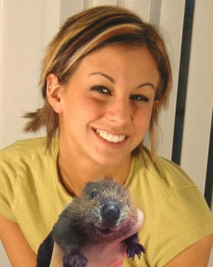 NoDMsPerfavore's tweet photo. How do you like my cute little beaver? 😊 https://t.co/TE5g5obqkv
