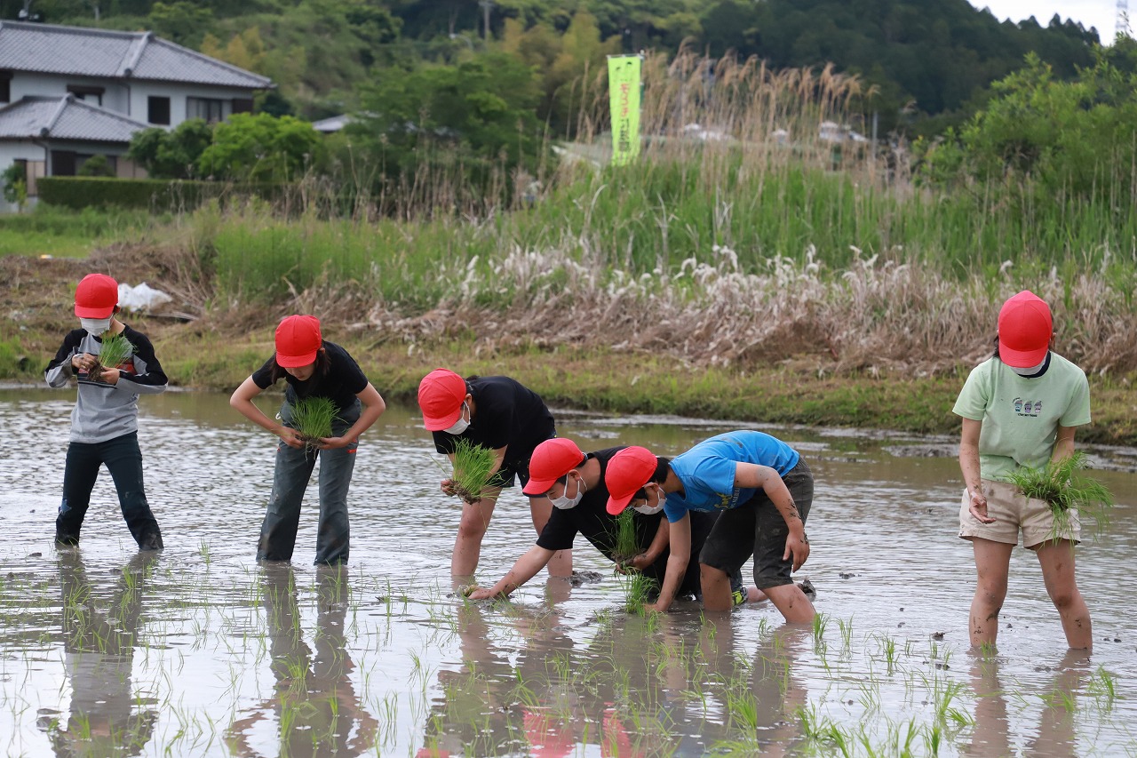 菊川市公式 河城小 田植え体験 同校５年生38人が河城地区センター東側水田で ｊａ遠州夢咲職員の指導を受けながら田植え体験 最後には 代表児童が指導のもと田植機の運転も体験 緊張ドキドキ 今後 児童たちは 稲刈りや自分でイラストを描いた袋に